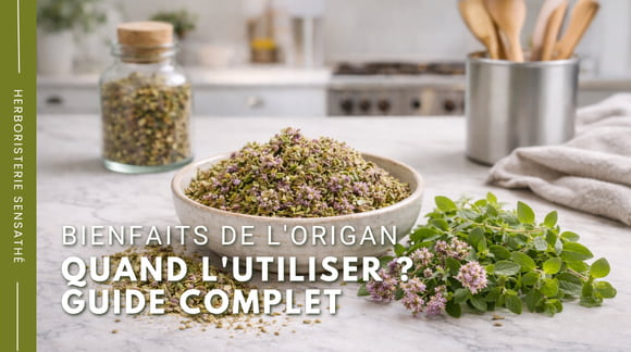 Bienfaits de l'origan  quand l'utiliser ? Guide complet - Herboristerie Sensathé